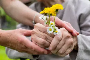 Soins palliatifs